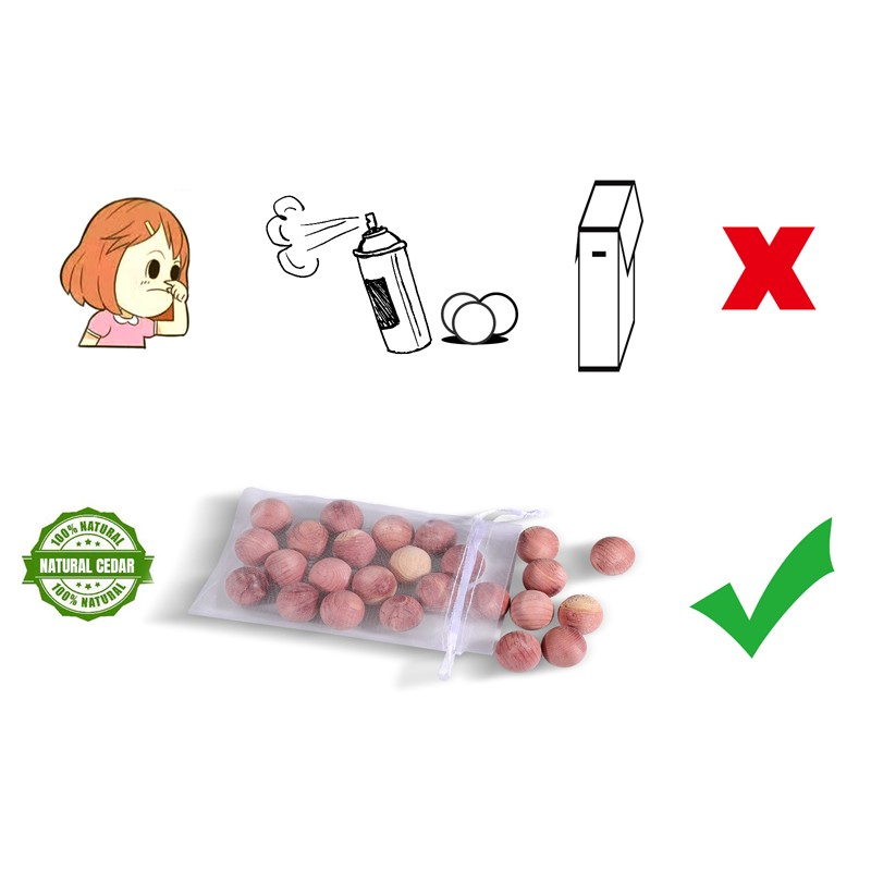 Bóng Gỗ Tuyết Tùng (20)